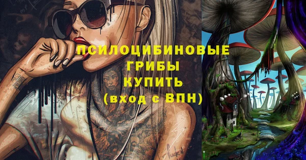 ГАЛЛЮЦИНОГЕННЫЕ ГРИБЫ Балабаново