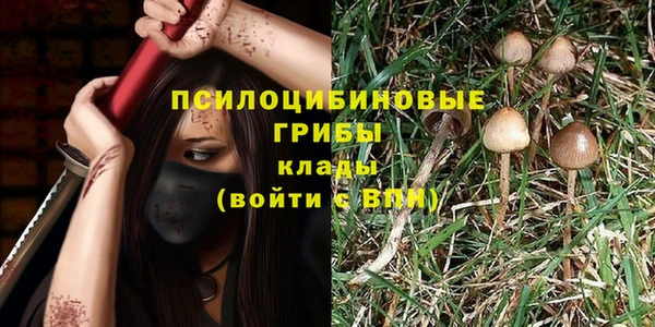 ГАЛЛЮЦИНОГЕННЫЕ ГРИБЫ Балабаново